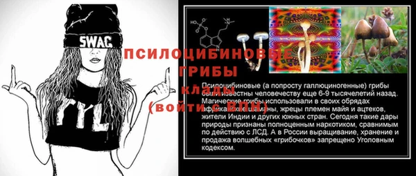 дмт Гусь-Хрустальный