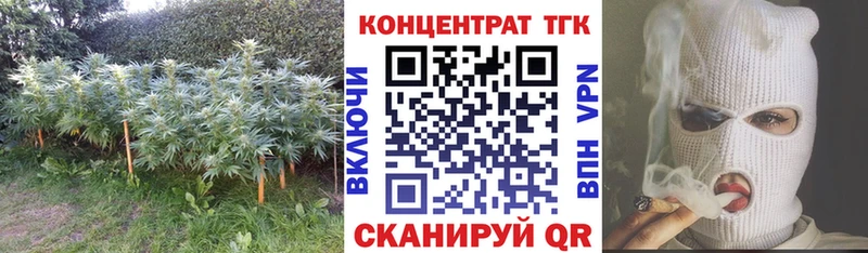 ТГК THC oil  mega как войти  Мытищи 
