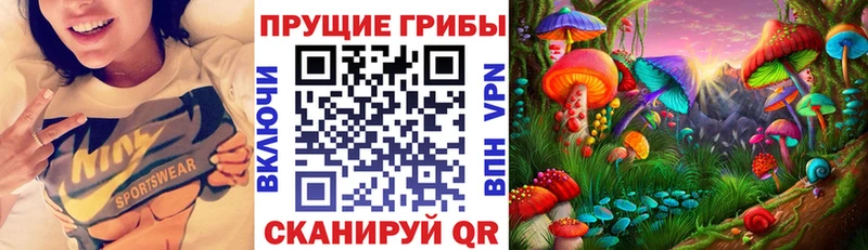 Псилоцибиновые грибы Cubensis Мытищи